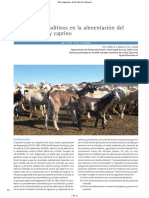 Aditivos Ovinos PDF