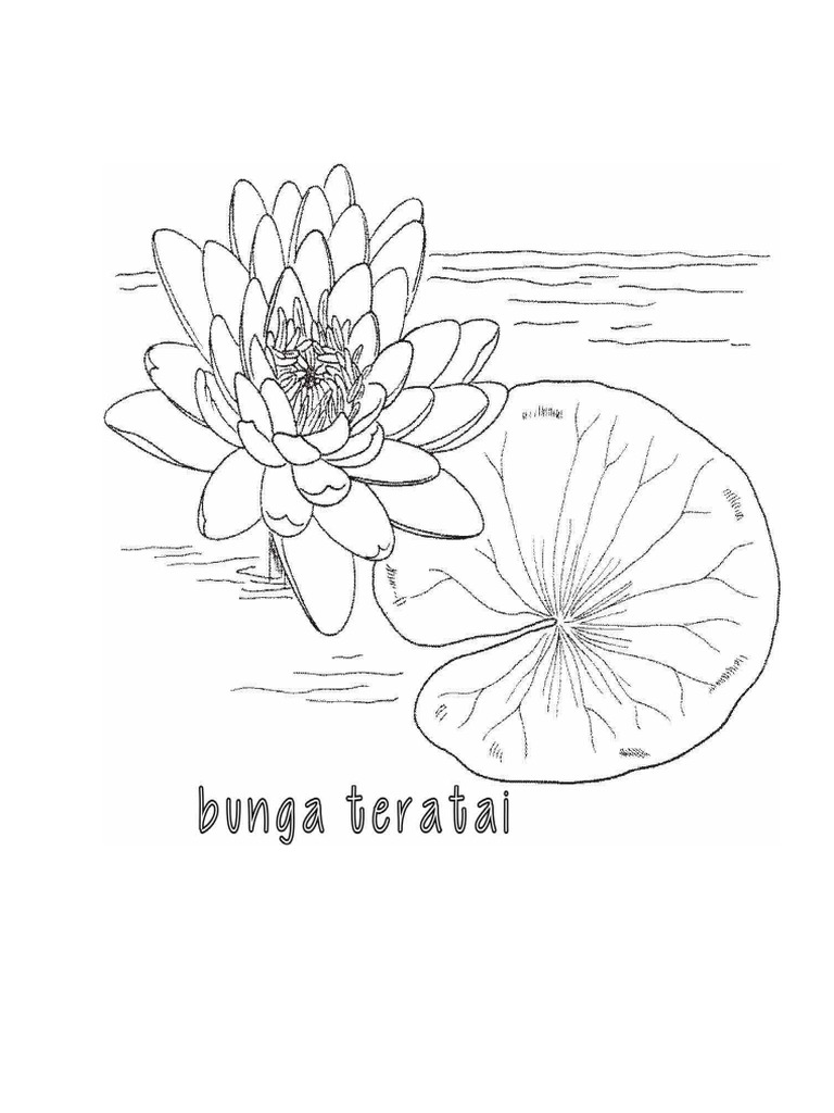 Sketsa Gambar Batik  Bunga  Teratai Koleksi Gambar Bunga 