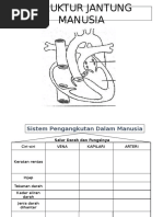 Bahan Jantung Manusia