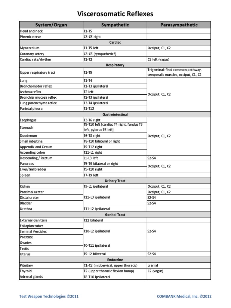 Viscerosomatic Reflexes Sympathetic Parasympathetic PDF