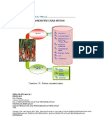Pohon Industri Cabai