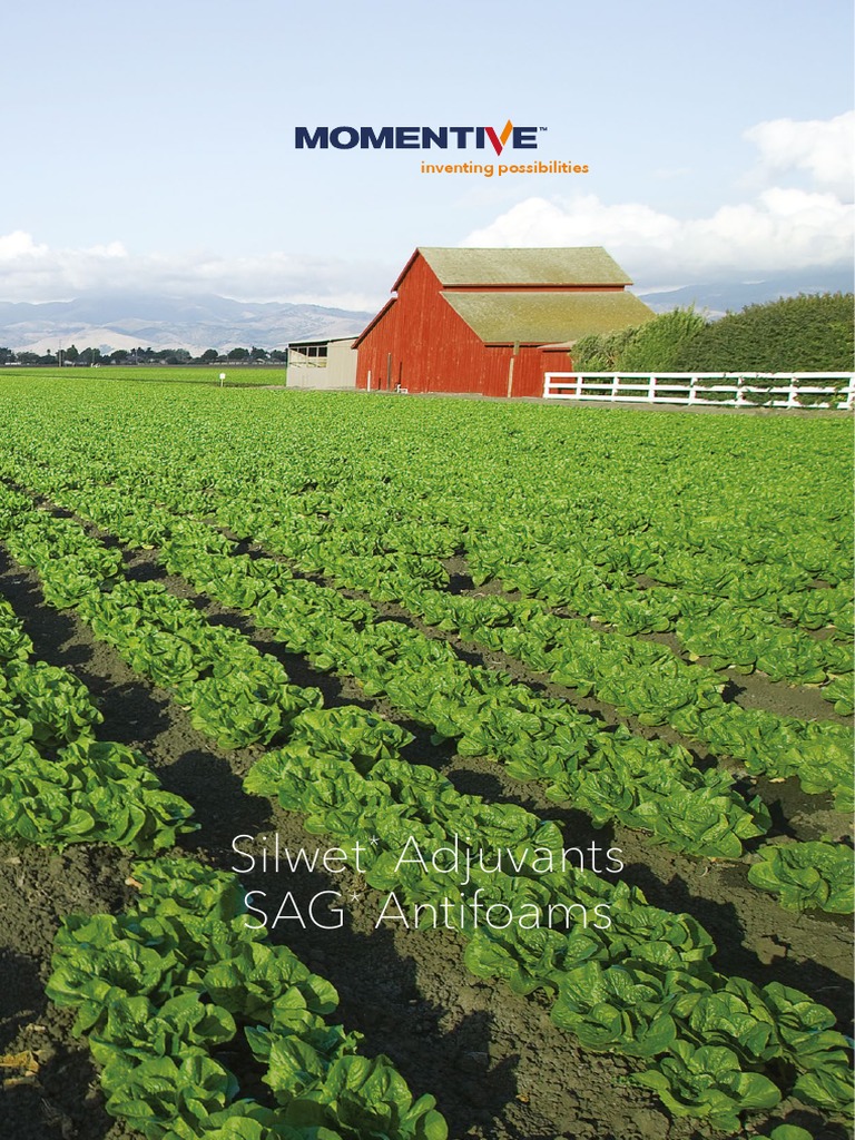 Brochure Momentive | PDF | Agriculture | Chemicals