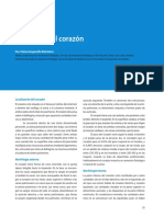 Anatomia del corazon pdf.pdf