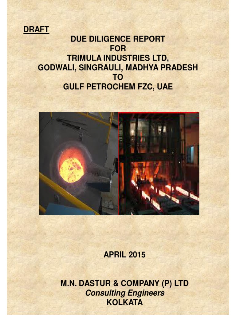 TIL Due Diligence and Valuation Report by M N Dastur April 2015 PDF