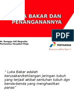 Luka Bakar Dan Penanganan