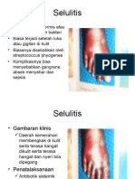 4 - Selulitis