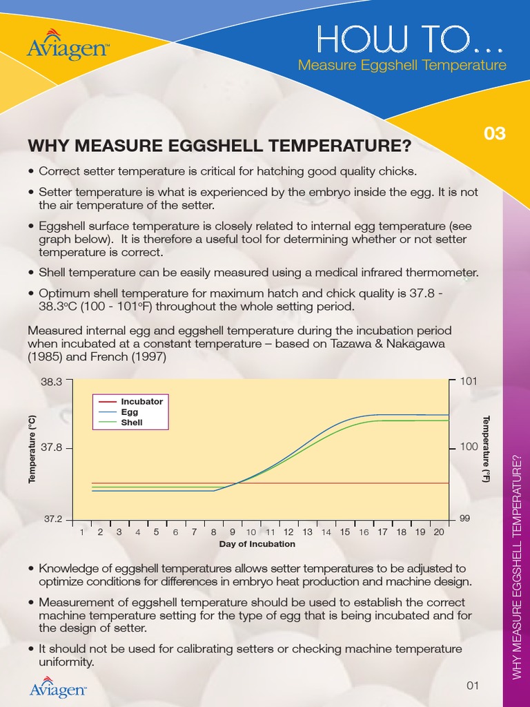 How To Measure Eggshell Temperature | PDF | Egg | Thermometer
