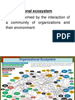 Organizational Ecosystem PDF