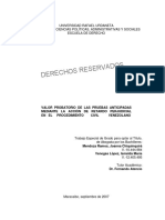 Tesis Referencial en La Prueba Anticipada PDF