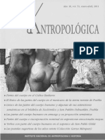 Cuerpo y Lexico PDF