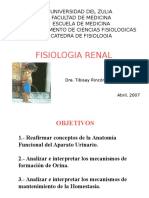 Fisiología renal: Formación de orina y homeostasis