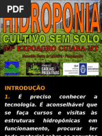 Palestra Hidroponia 52 Expagro