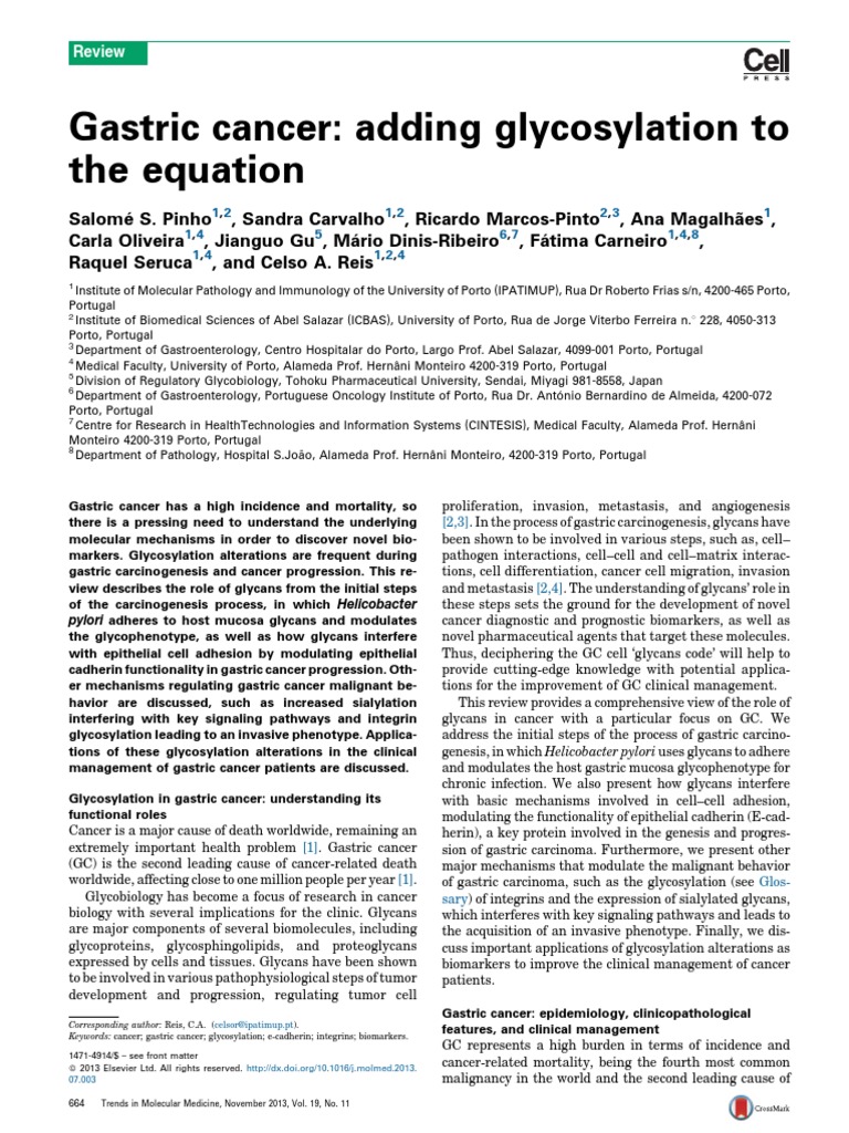 Glycosylation's Role in Gastric Cancer | PDF | Cancer | Macromolecules