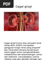 Download 99 Koleksi Gambar Ginjal Pdf Paling Bagus HD