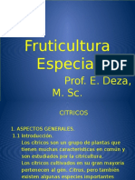 Fruticultura Especial, p p