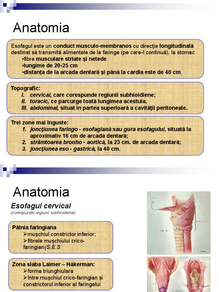 ESOFAGUL | PDF