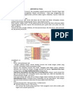 Abdominal Wall