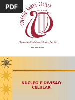 Nucleo e Divisao Celular Ppt