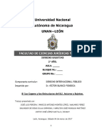 Derecho Internac. Público 2o. Trabajo.