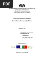 O Envelhecimento da População - Dependência, Ativação e Qualidade_Fernando Chau et al..pdf