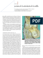 biomeca rodilla.pdf