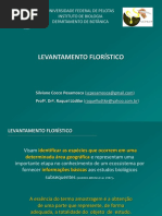 levantamento-florc3adstico