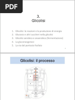 3 Glicolisi