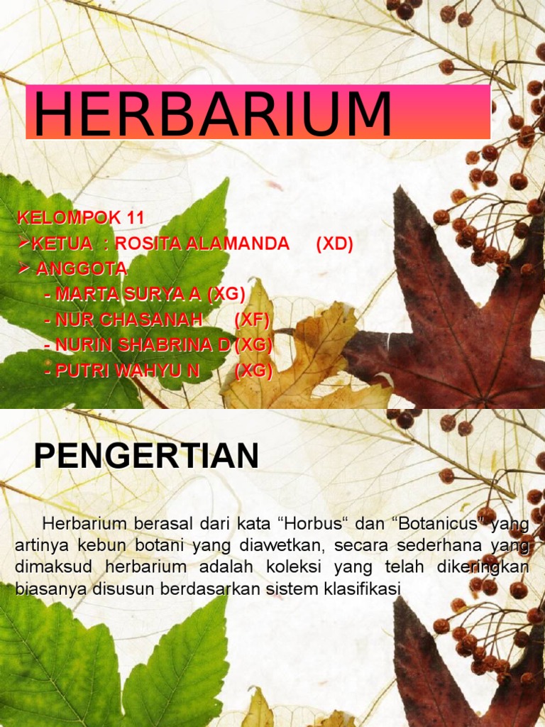 1power Point Herbarium