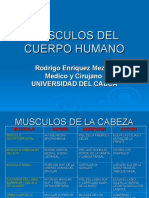 musculosdelcuerpohumano-110218203723-phpapp01