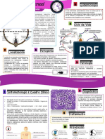 Monografía 4. Trypanosoma Cruzi