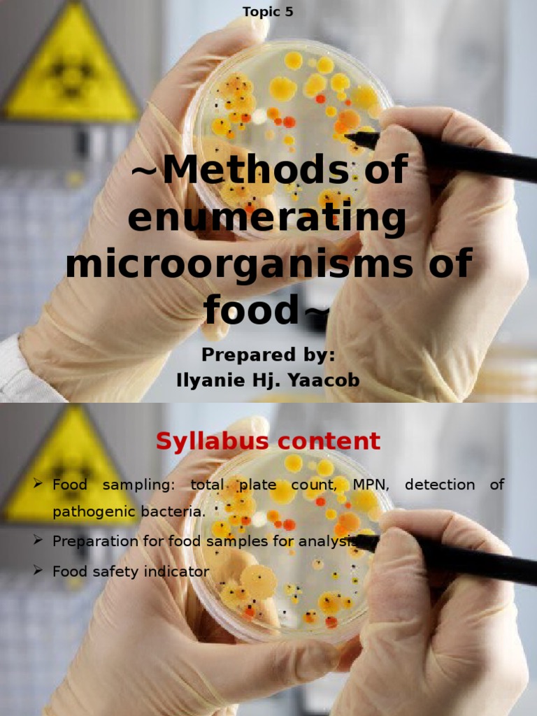 Chapter 5 Basic Techniques in Food Microbiology PDF Colony Forming Unit Staphylococcus