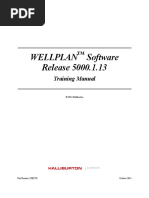 Old_WELLPLAN Software Release 5000.1.13