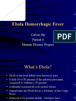 Ebola Hemorrhagic Fever: Calvin Hu Period 4 Human Disease Project