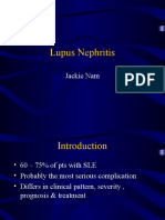 Lupus Nephrit