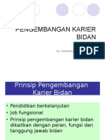 Pengembangan Karier Bidan