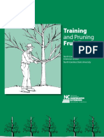 Training and Pruning Fruit Trees in North Carolina PDF