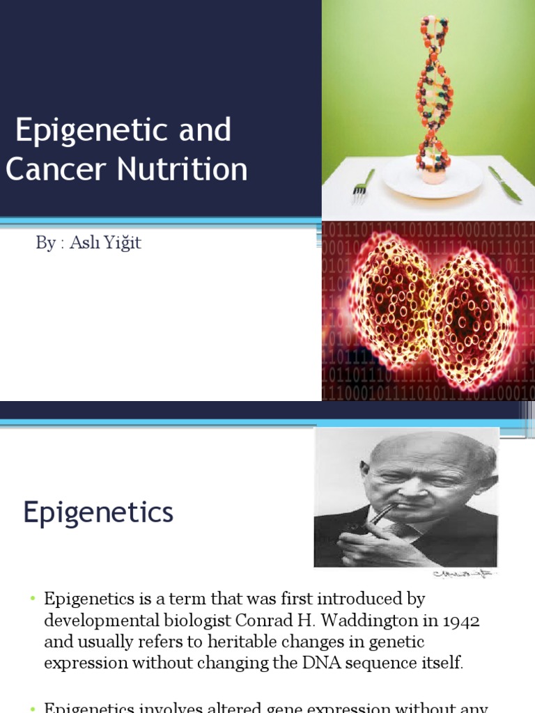 Epigenetic and Cancer Nutrition | PDF | Epigenetics | Cancer