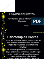 Psicoterapia Berve, Intensiva y de Urgencia