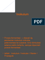 Inokulum