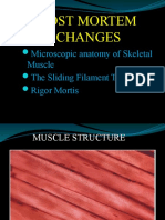 Post Mortem Changes: Microscopic Anatomy of Skeletal Muscle The Sliding Filament Theory Rigor Mortis