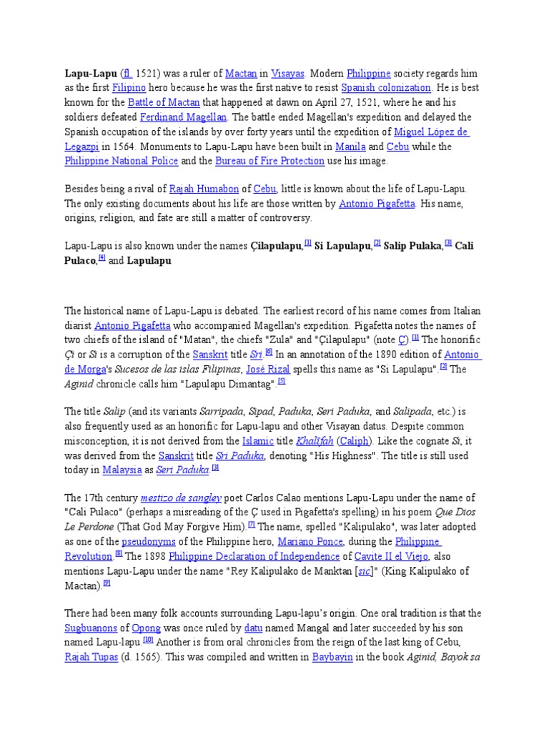 Reflection in lapu lapu essay image