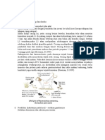 Download Nematoda Cestoda Trematoda Kambing by RaldyP SN341178115 doc pdf