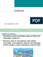 Kuliah 2 Biokimia Membran Sel