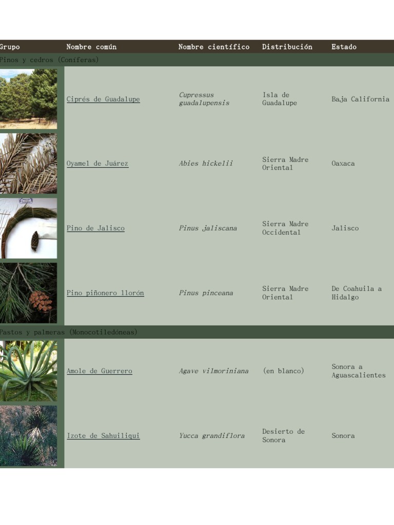 Especies Endémicas de México | PDF | México | Naturaleza