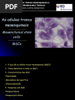 Celulas_tronco Ratos Transgenicos e MSCs
