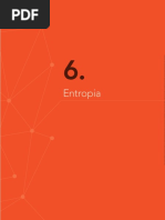 6 - Capítulo 6 - Entropia