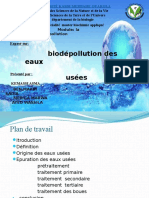 biodépolution ppt