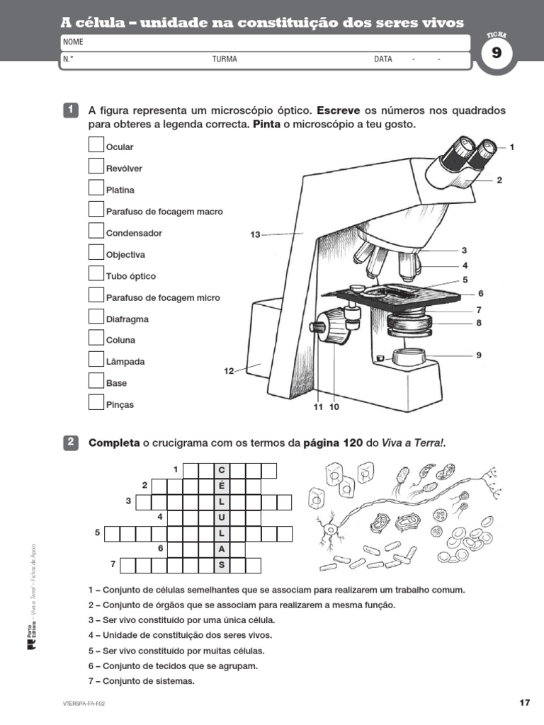 Ficha 9 Microscópio | Célula (Biologia) | Organismos