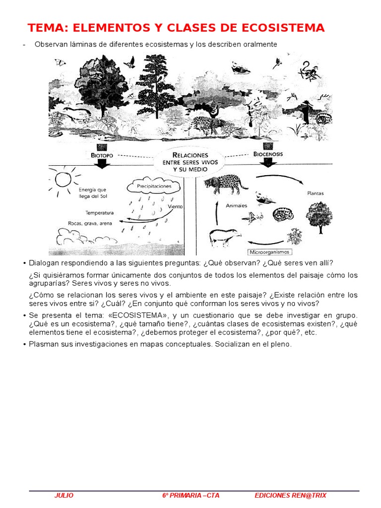 Elementos y Clases de Ecosistemas | PDF | Ecosistema | Desierto