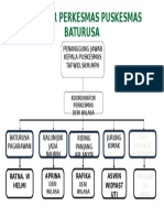 Contoh Struktur Organisasi Perkesmas Puskesmas Baturusa
